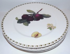 SET OF 6 QUEENS FINE CHINA HOOKERS FRUIT HORTICULTURAL 10 3/4&quot; DINNER PL... - $75.73