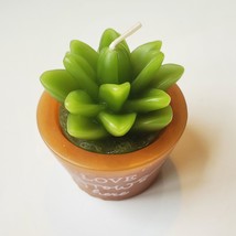 Succulent Shaped Candles, 2.6", Love Grows, Happy Place, Live What You Love image 9