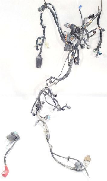 Wire Harness Good Shape PN 26031-2484 OEM 2018 2019 Kawasaki NINJA 400 - $89.09