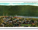 View of Paper Mills Lock Haven Pennsylvania PA UNP WB Postcard N20 - £2.33 GBP