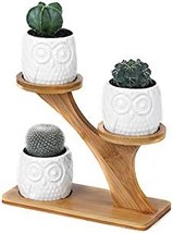 Kipokalor 3 Pcs. Owl Succulent Pots With 3 Tier Bamboo Saucers Stand Holder, - $35.97