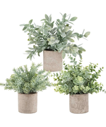 3 Pack Mini Potted Fake Plants Artificial Plastic Eucalyptus Plants Topi... - €28,51 EUR 3 Pack Mini Potted Fake Plants Artificial Plastic Eucalyptus Plants Topi... - €28,51 EUR