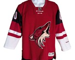 Phoenix Coyotes #40 Alex Tanguay  Jersey Youth Large Reebok Burgundy NHL... - $49.49