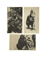 Vtg 1940&#39;s Cincinnati Zoo Ohio Postcard Susie World&#39;s Only Trained Goril... - $19.44 CAD