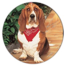 Basset Hound : Gift Coaster Pet Animal Puppy Cute Funny Dog - £3.89 GBP