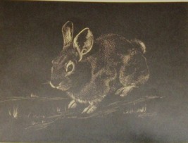 George Kountoupis Bunny Rabbit Wild Hare Print Signed Art Lithograph Wildlife Ok - £33.84 GBP