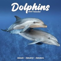 Dolphins 2025 Square Wall Calendar | Animal, Wildlife Calendar: Original... - £5.73 GBP