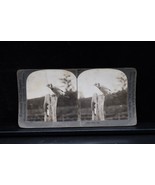Antique Keystone Co Stereoview Birds Bluejay P79 (7821R) Rare - $241.11 MXN