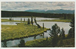 Chilcotin Country British Columbia Canada Vintage Postcard Unposted - £3.85 GBP