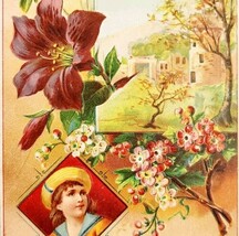 C1890s Victorian Trade Card Castle Beautiful Landscape Flowers Embossed ... - $460.91 MXN