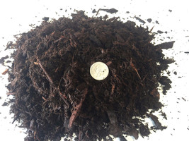 5 Quarts Aged Medium Fir Bark for Bonsai/Succulent/Cactus &amp; Seed Startin... - £4.77 GBP