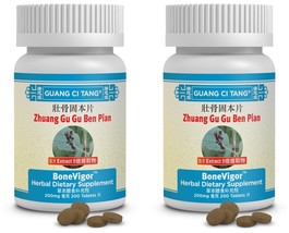 壯骨固本片 2 x Zhuang Gu Gu Ben Pian BoneVigor Kidney Liver Strong Bone Support 02-25 - $19.95