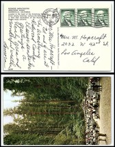 1961 US Postcard - Guerneville, California to Los Angeles, CA P1 - $2.96