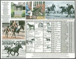 1973 - SEATTLE SLEW -Triple Crown Winner - Picture Pedigree Photo - 10&quot; x 8&quot; - £15.80 GBP