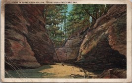 Scene in Turkey Run Hollow Turkey Run State Park IN Postcard PC600 - £3.84 GBP