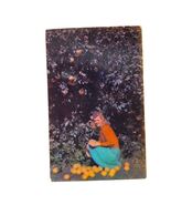 Postcard Valley Beauty Inspecting Red Blush Grapefruit Lower Rio Grande ... - $6.83 CAD