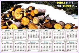 2019 Magnetic Calendar - Calendar Magnets - Today is my Lucky Day - Edit... - $6.99