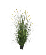 60 in. Foxtail Grass in Pot  Green - £99.68 GBP