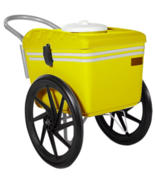 POPSICLES PUSH CART PALETA MOBILE CART FROZEN TREATS CATERING COOLER CAR... - €1.700,49 EUR