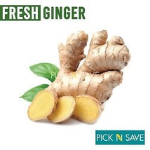 Fresh ORGANIC Ginger Roots 500g  powder - £50.84 GBP