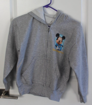 Disneyland Walt Disney World Souvenir Hooded Sweatshirt Youth Medium Gray - $29.69