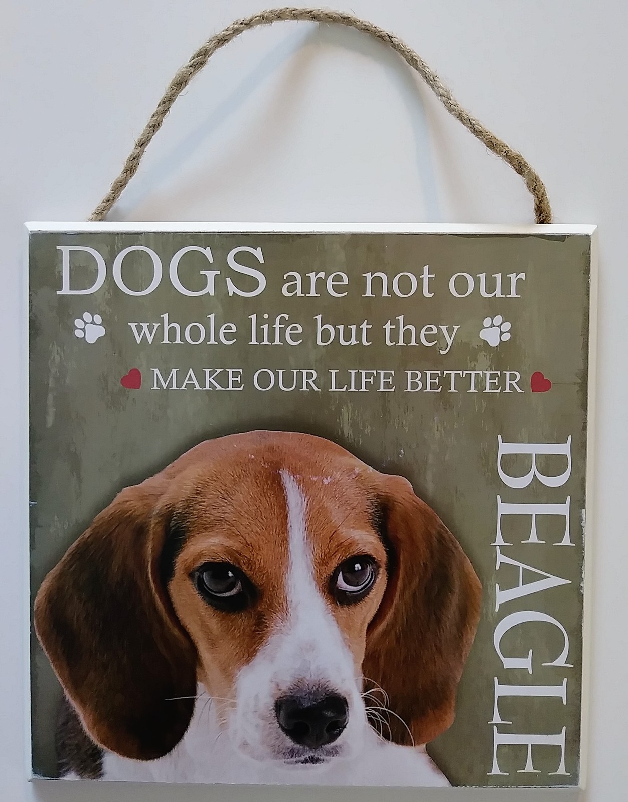 Dogplaque beagle 1