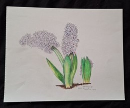 Original Signed Beverly Ellstrand Color Sketch - Frans Hyacinth 2007 Sti... - $23.00