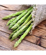 PSA Asparagus Millennium 10 Plant Roots Summer Harvest Fast Growing - $964.70 MXN