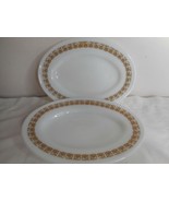 Vintage Pyrex 2 9.5″ Platters restaurant ware PYR50 brown flowers and sc... - $801.33 MXN