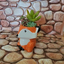 Mini Fox Planter with Succulent Arrangement, Succulent Gift, Animal Planter Pot image 9