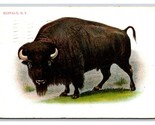 Buffalo buffalo Buffalo buffalo buffalo buffalo Buffalo buffalo NY Postc... - $8.86