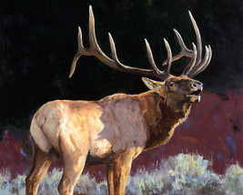 Bugling Elk Deer Moose Wildlife Pine Ceramic Tile Mural Backsplash Medallion - £46.56 GBP+