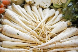 Lunar White Carrot 50 SeedsNon-GMO - £6.27 GBP