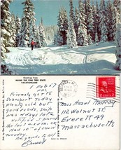 Maine Pine Tree State Vacationland Posted 1957 to Everett MA VTG Postcard - £7.37 GBP