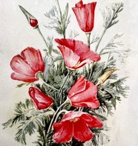 Red California Poppy Flower Still 1920 Color Plate Print Luther Burbank ... - £23.97 GBP