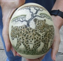 African Scrimshaw Ostrich Egg with Leopards - £119.53 GBP