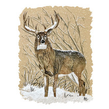 White Tail Deer in Wintry Forest - Printed Vinyl Decal Sticker - Car Truck RV - £5.55 GBP+