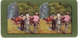 c1900&#39;s Colorized Stereoview #416 Packing a Bronco.  Two Cowboys With Horses - £9.59 GBP
