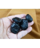 (x-366) set of 4 small Tektites TEKTITE from Impact 700,000 years ago sp... - $228.21 MXN