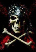 Anne Stokes Poster Flag Pirate Skull - $14.99