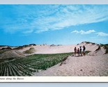 People on Sandy Beach Cape Cod Massachusetts MA UNP Chrome Postcard P6 - $3.91