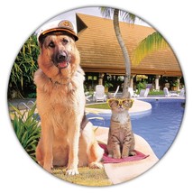 German Shepherd Captain Pool : Gift Coaster Dog Pool Pet K-9 Animal Puppy - £4.00 GBP