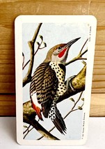 Vintage Songbird Trading Card Red Shaft Flicker 1962 S9N3 Brooke Bond Te... - $372.19 MXN