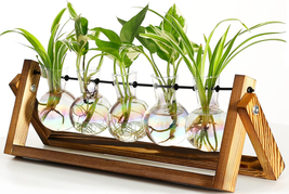 XXXFLOWER Plant Terrarium with Wooden Stand, Wall Hanging Glass Planter ... - €26,95 EUR