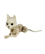 Crazy Bonez Cute Skeleton Cat - $453.70 MXN