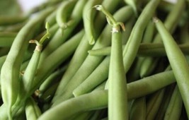 Kentucky Wonder 125 Greenpod Bean Seed  Bush Beans Seeds 0.50Oz  From US - $10.99