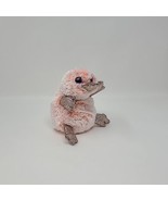 TY Beanie Boos 6&quot; WILMA Pink Platypus Plush Stuffed Animal Toy Sparkle - £15.77 GBP