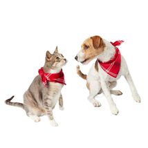WONDERSHOP Plaid Cat and Dog Bandana - One Size Fits Most (RED PLAID) - ... - $71.96 MXN