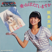 Macross Do You Remember Love? Anime Mari Iijima Single Vinyl Record 1984 Japan - $27.80