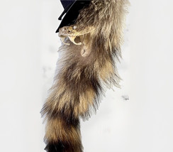 Oddity Real RATTLESNAKE Head 10” Raccoon Fur Hair Wearing Cowboy Hat - T... - $88.59